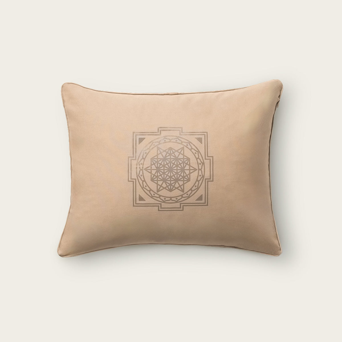 Premium Acupressure Pillow