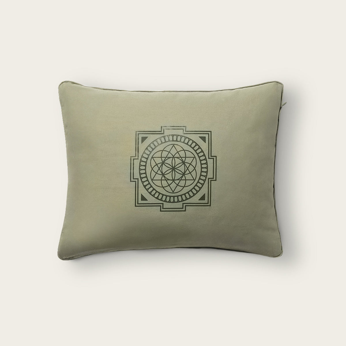 Premium Acupressure Pillow